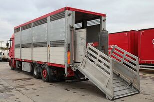 скотовоз MAN BDF, ANIMAL/TIER TRANSPORTATION